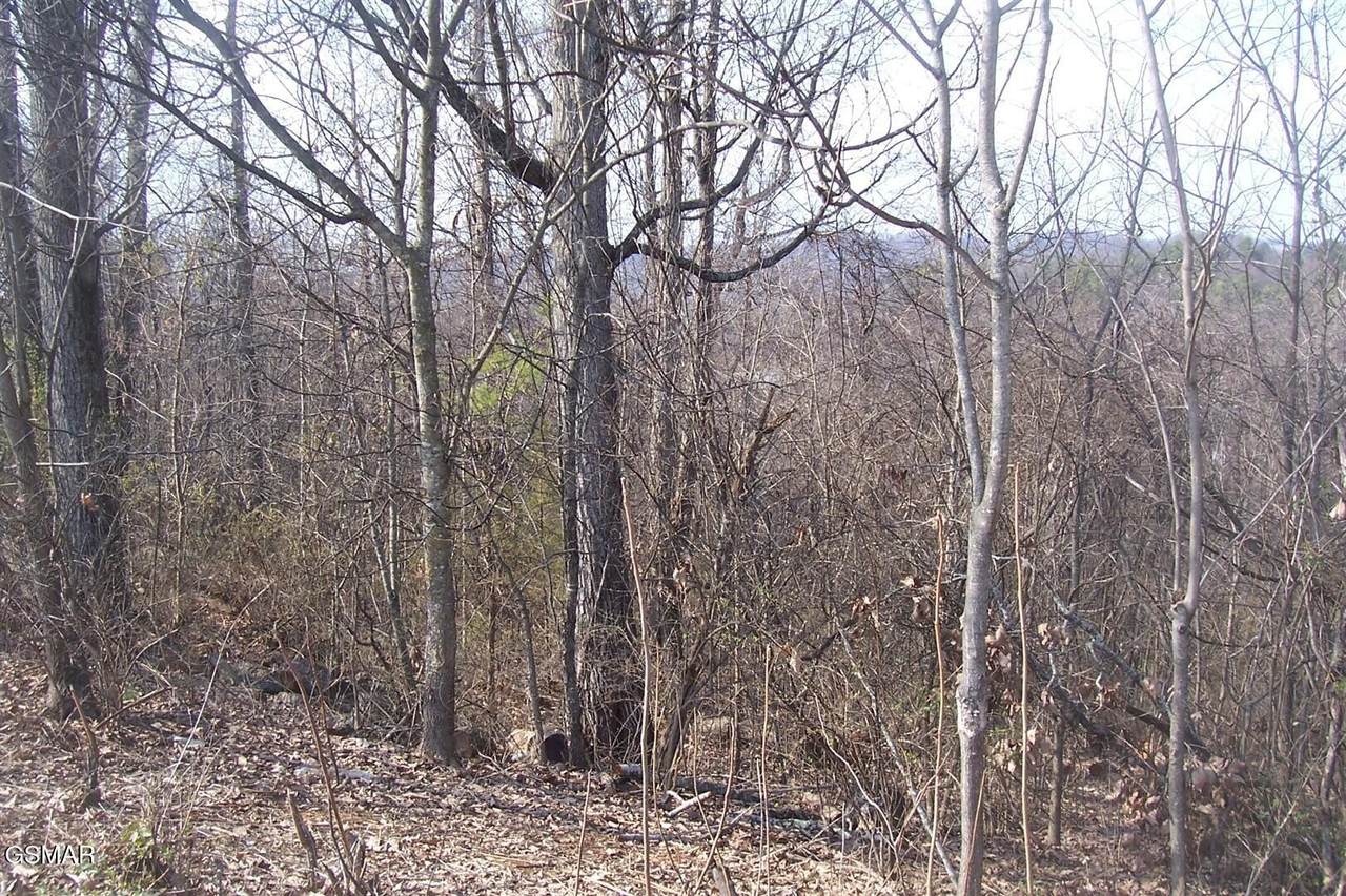 https://bt-photos.global.ssl.fastly.net/nashville/1280_boomver_1_RTC3304087-1.jpg