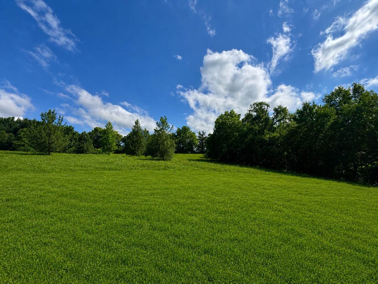 https://bt-photos.global.ssl.fastly.net/nashville/1280_boomver_1_RTC3304221-1.jpg