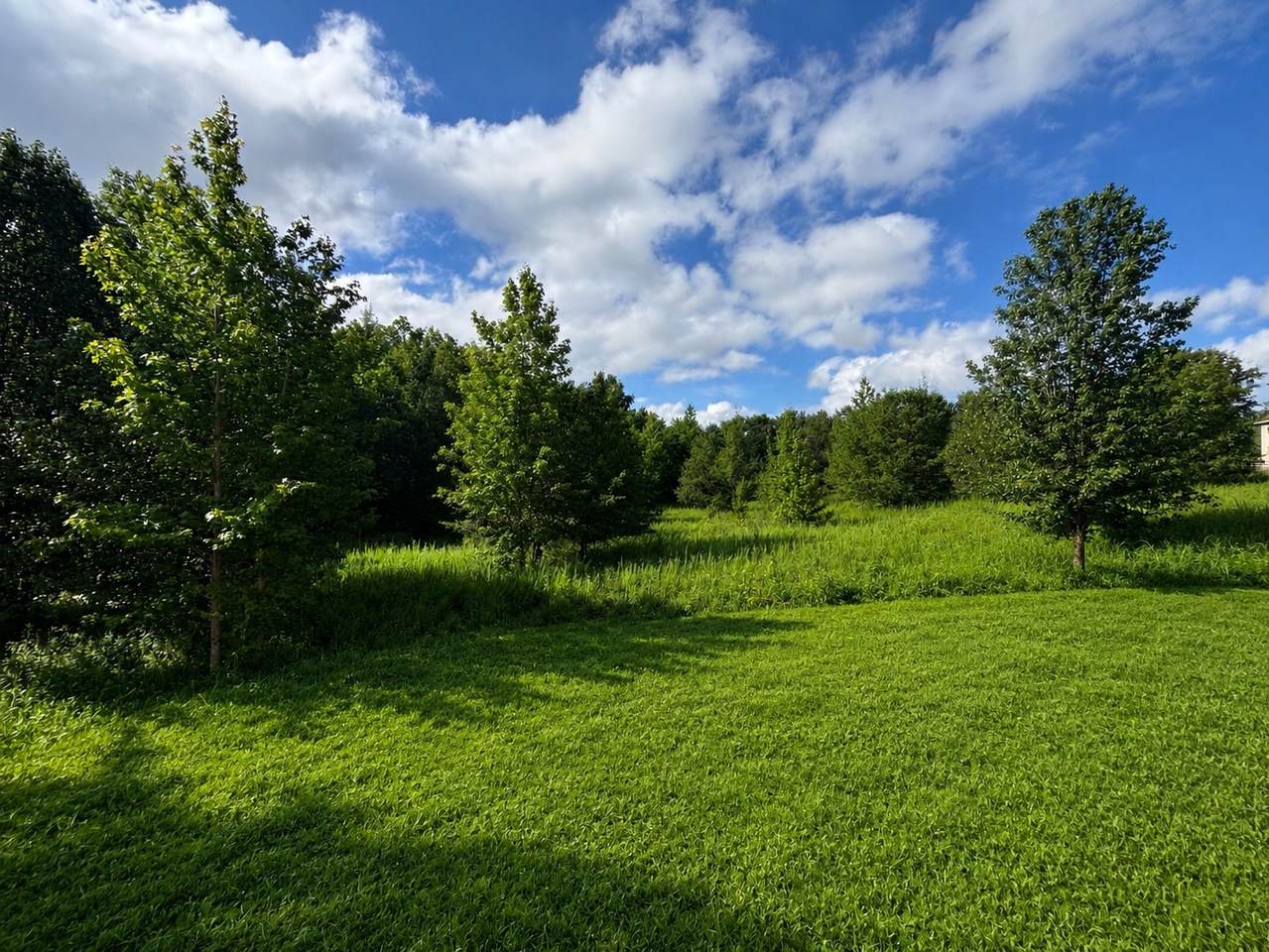 https://bt-photos.global.ssl.fastly.net/nashville/1280_boomver_1_RTC3304222-1.jpg