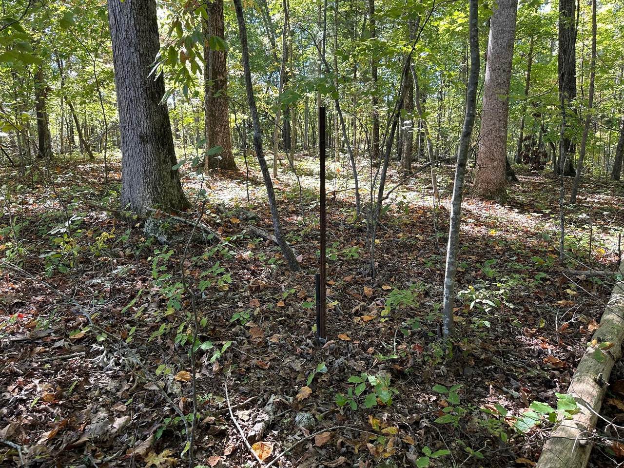 https://bt-photos.global.ssl.fastly.net/nashville/1280_boomver_1_RTC3304325-1.jpg