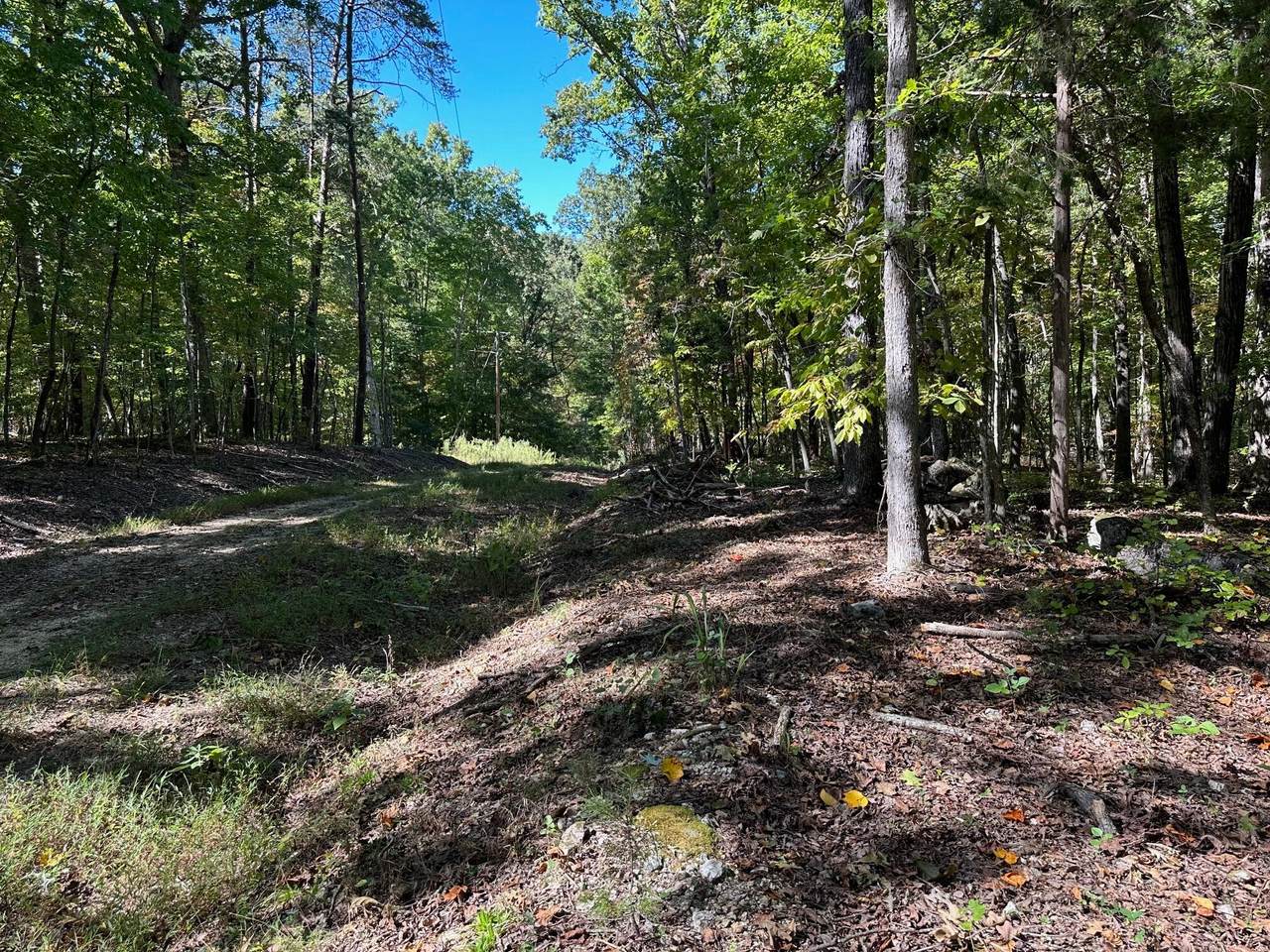 353 Diana Drive - Photo 1