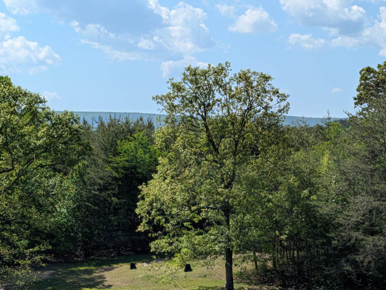 https://bt-photos.global.ssl.fastly.net/nashville/1280_boomver_1_RTC3304350-1.jpg