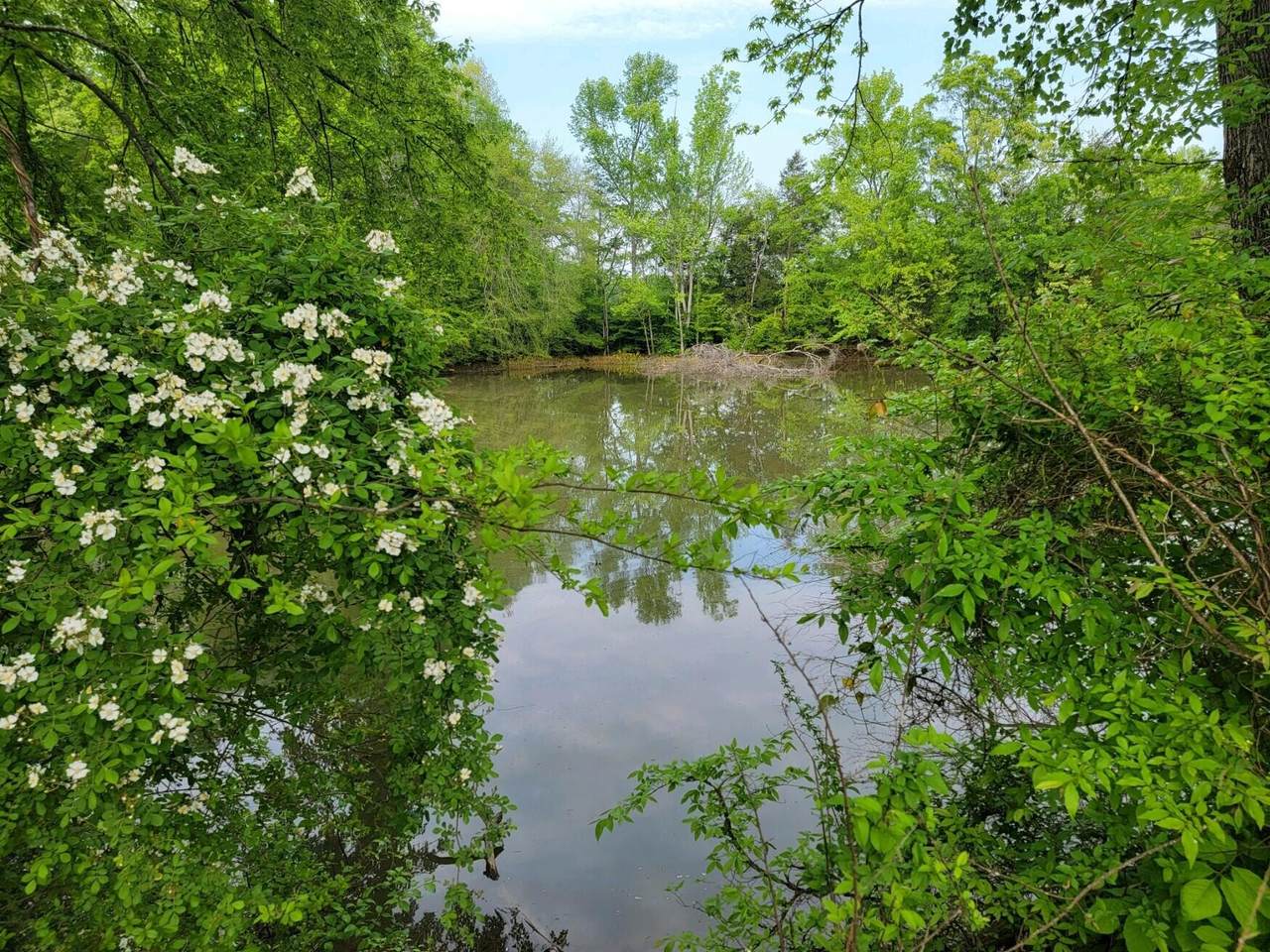 https://bt-photos.global.ssl.fastly.net/nashville/1280_boomver_1_RTC3304356-1.jpg