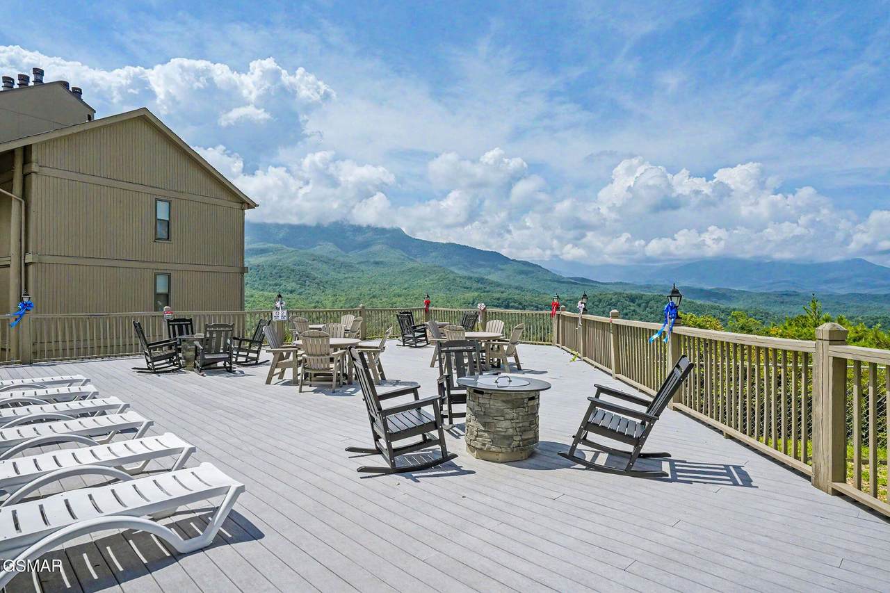 3710 Weber Road - Photo 1
