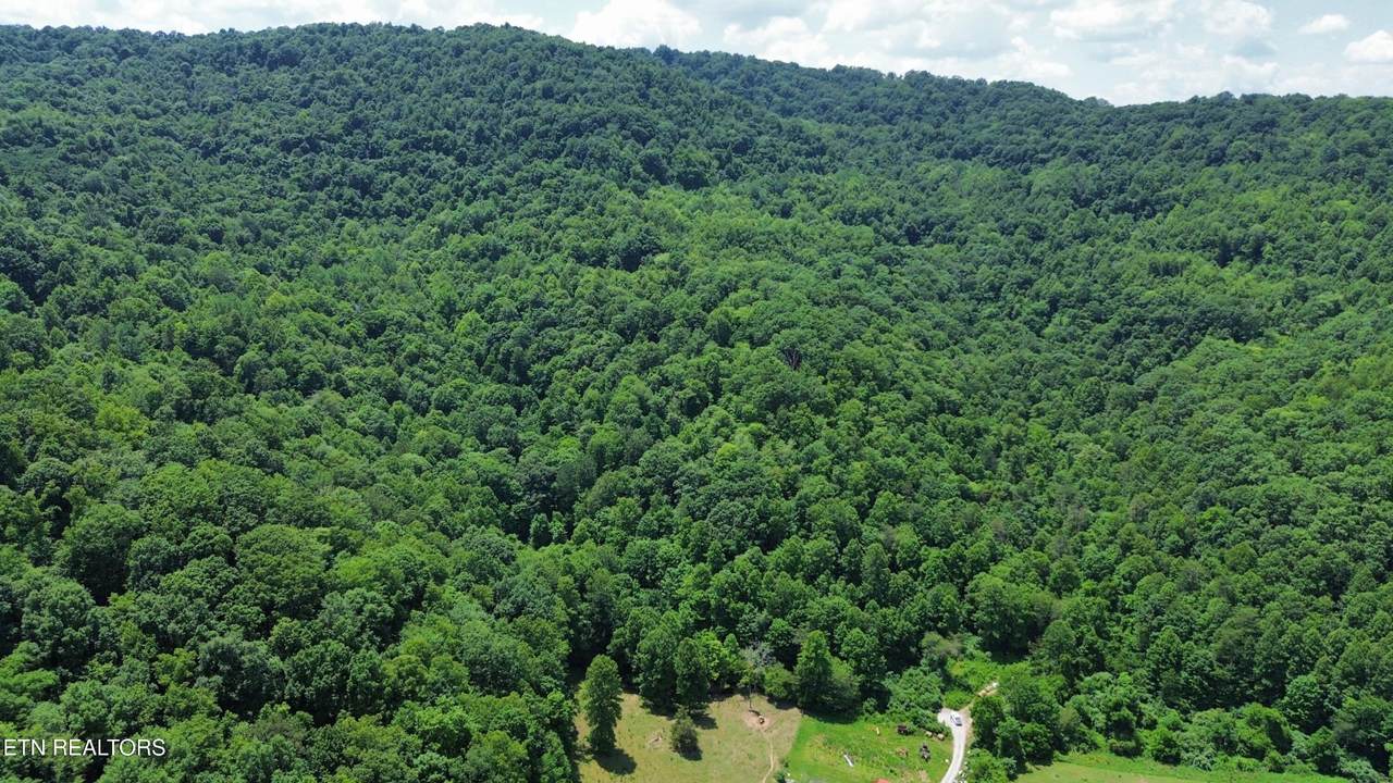 0 Lick Creek Lane - Photo 1
