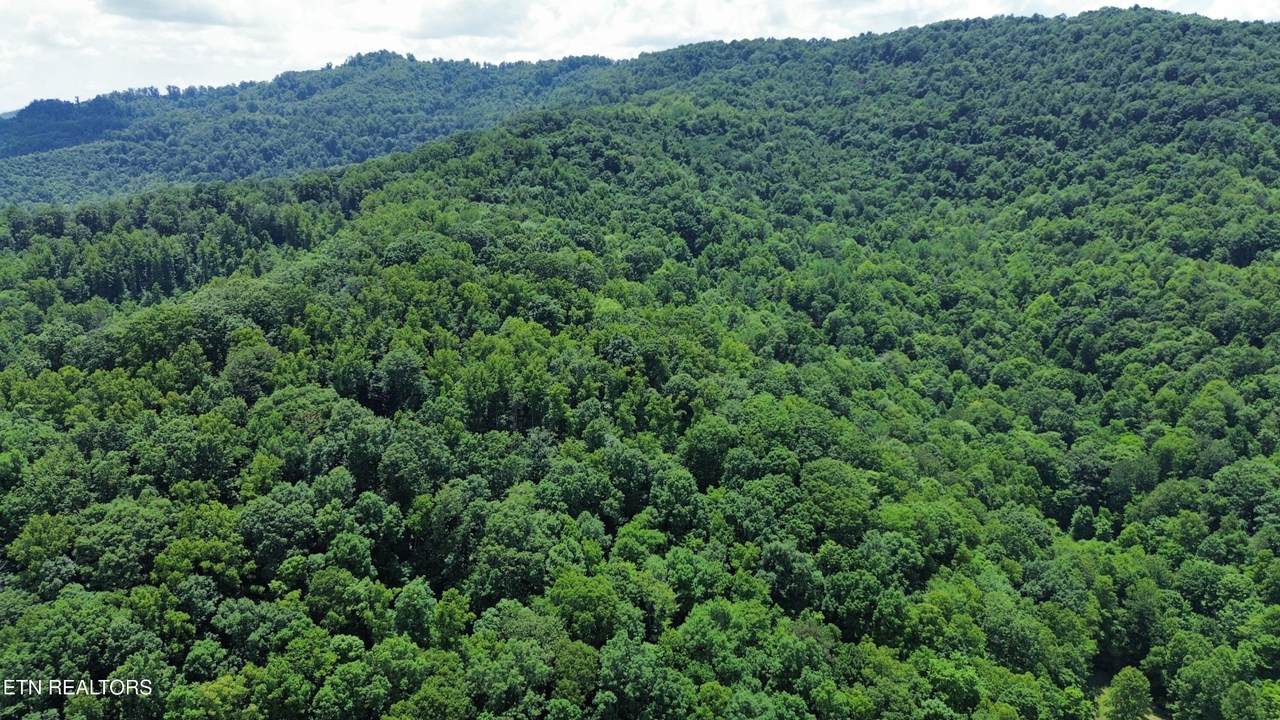https://bt-photos.global.ssl.fastly.net/nashville/1280_boomver_1_RTC3304390-1.jpg