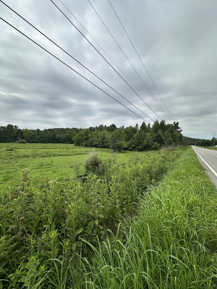 0 Highway 48 - Photo 1