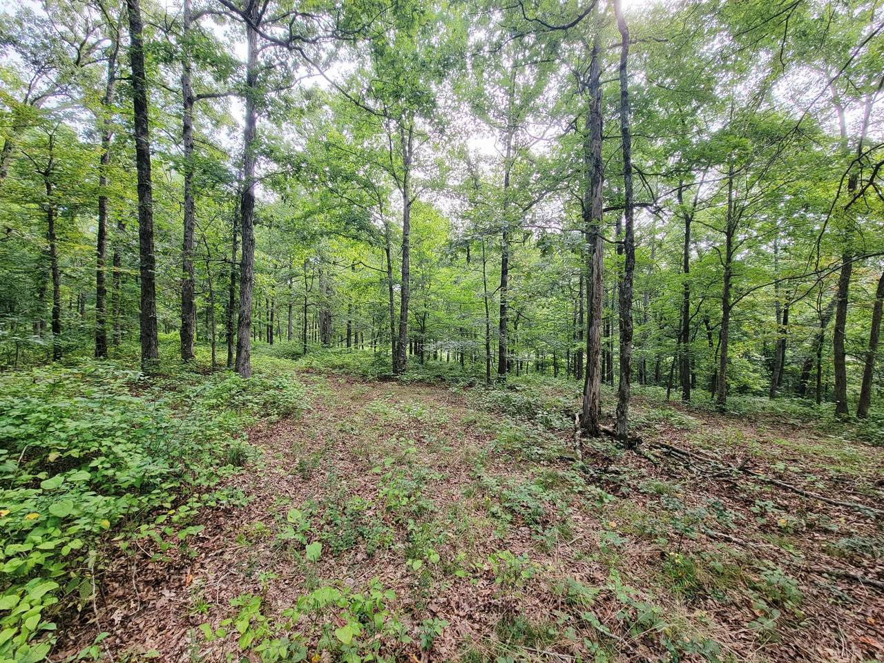 0 Ridgewood Dr - Photo 1