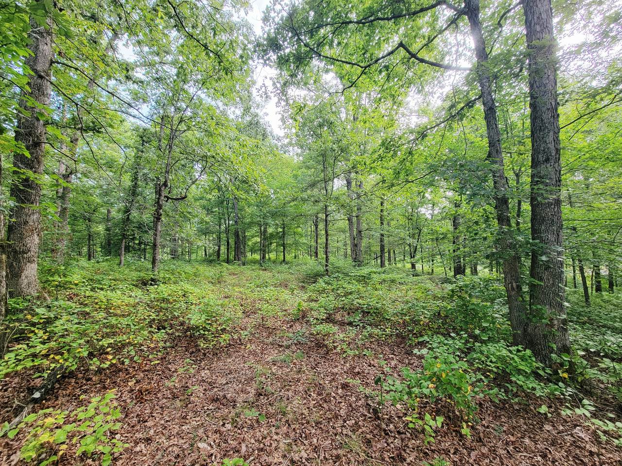https://bt-photos.global.ssl.fastly.net/nashville/1280_boomver_1_RTC3304804-1.jpg