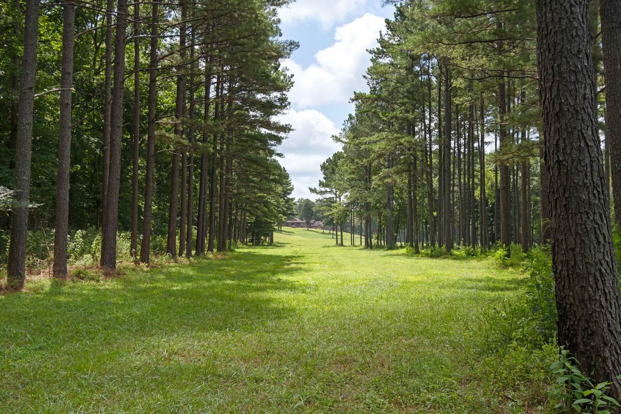 https://bt-photos.global.ssl.fastly.net/nashville/1280_boomver_1_RTC3304831-1.jpg