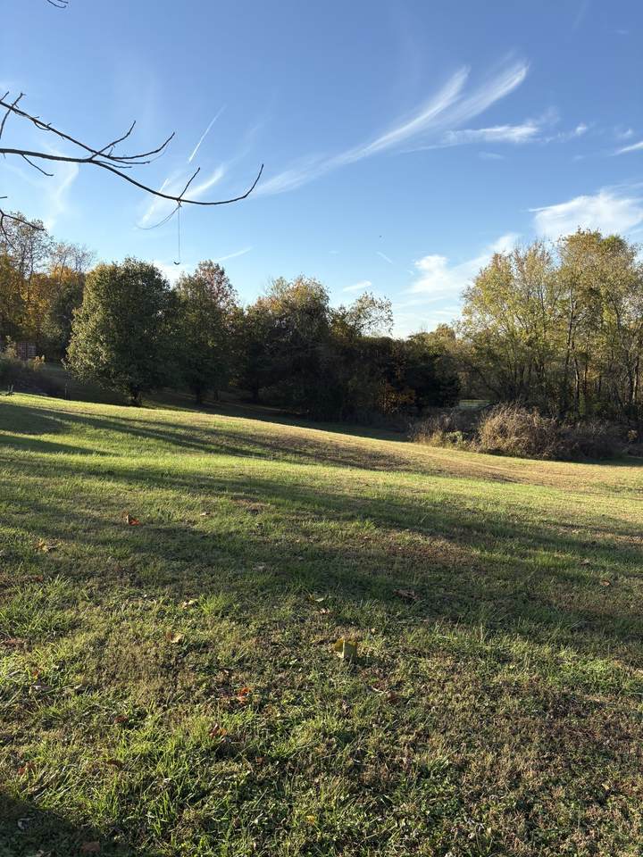 https://bt-photos.global.ssl.fastly.net/nashville/1280_boomver_1_RTC3305479-1.jpg