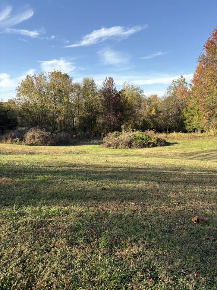 https://bt-photos.global.ssl.fastly.net/nashville/1280_boomver_1_RTC3305479-1.jpg