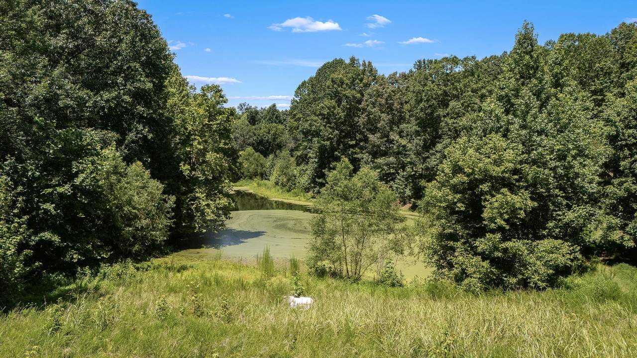 https://bt-photos.global.ssl.fastly.net/nashville/1280_boomver_1_RTC3305498-1.jpg