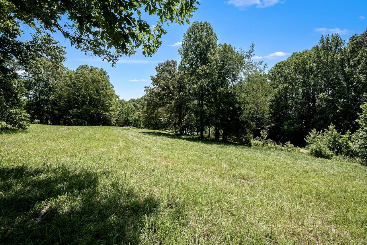 https://bt-photos.global.ssl.fastly.net/nashville/1280_boomver_1_RTC3305498-1.jpg