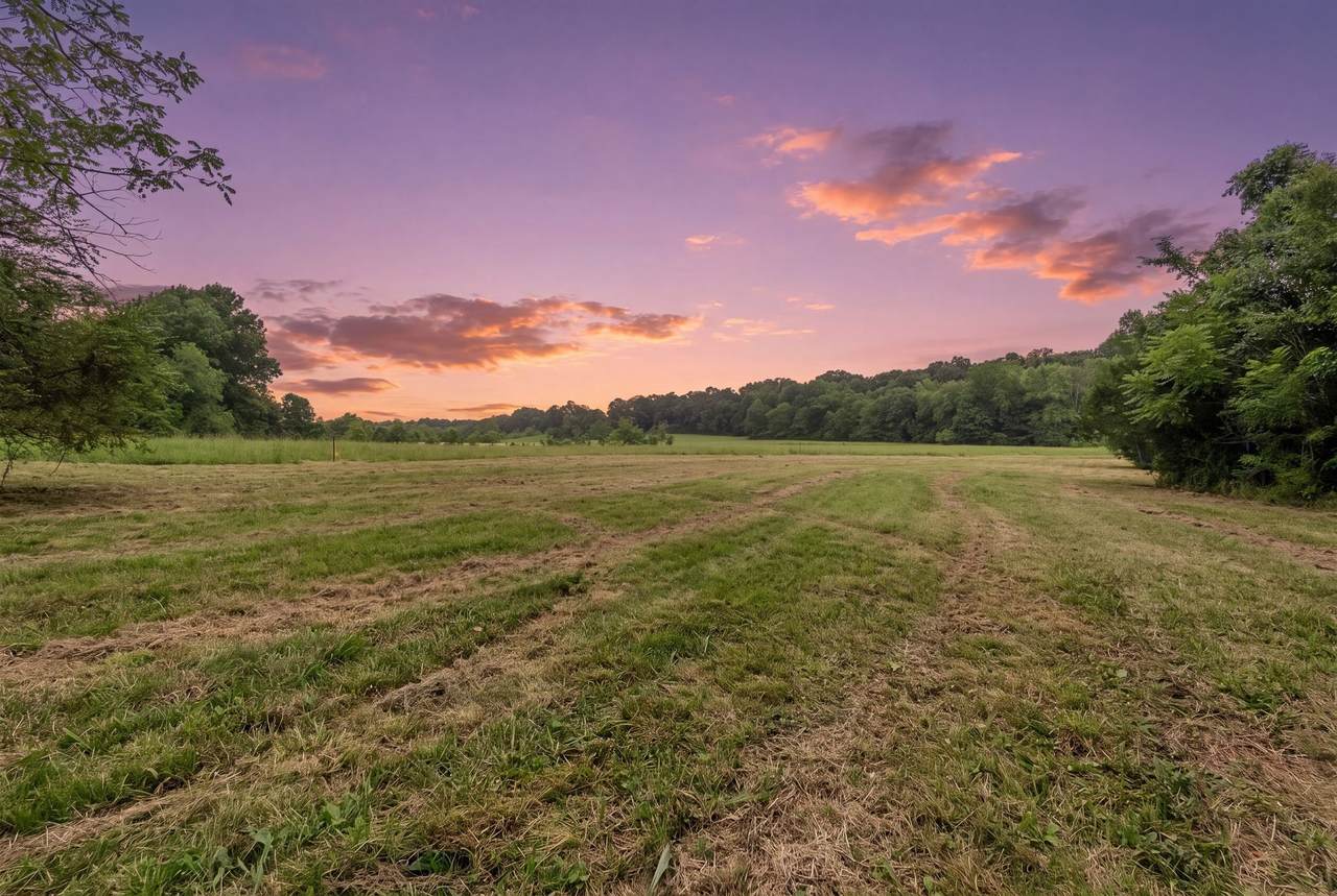 https://bt-photos.global.ssl.fastly.net/nashville/1280_boomver_1_RTC3305512-1.jpg