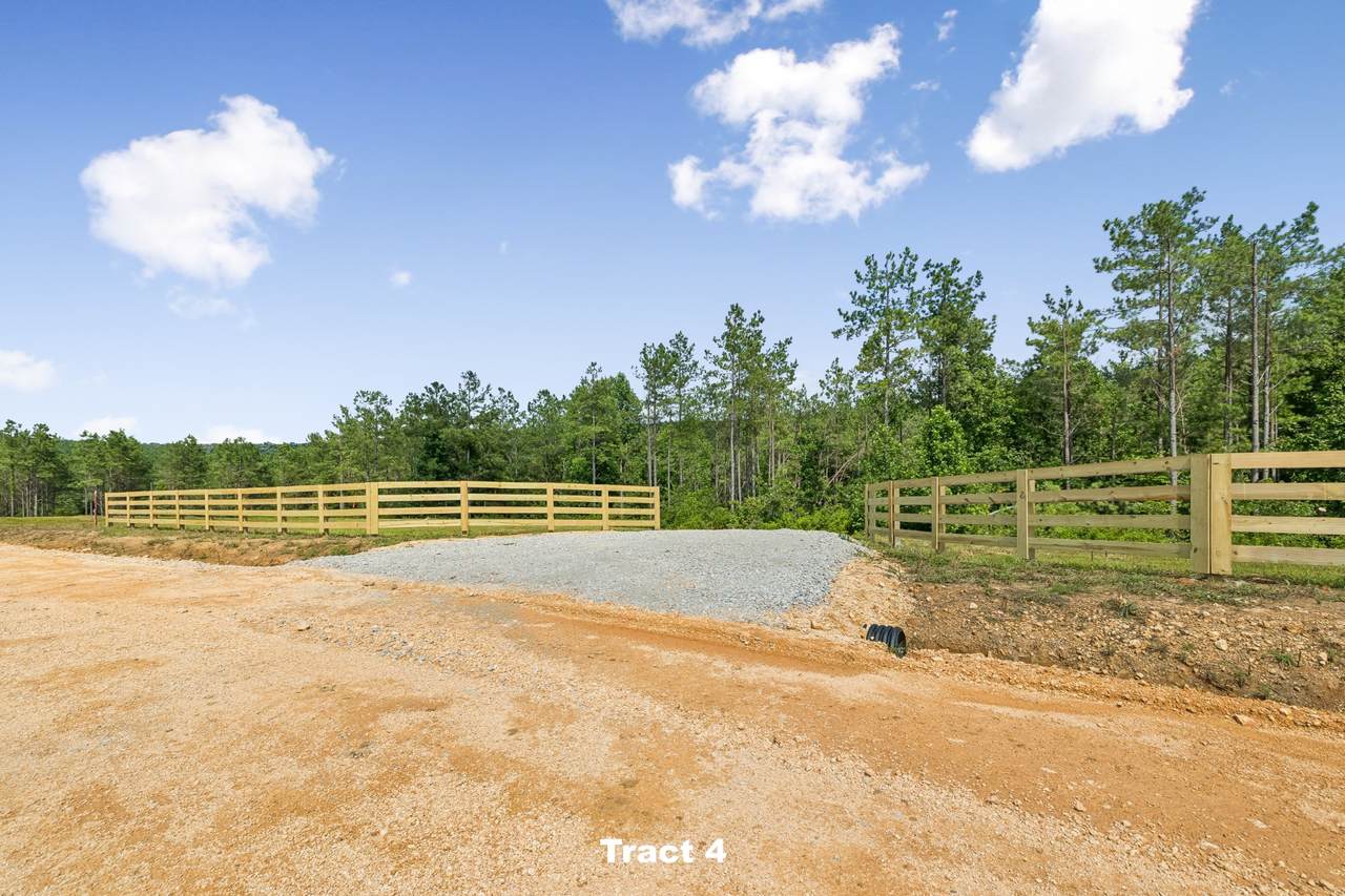 1420 Big Swan Creek Rd - Photo 1