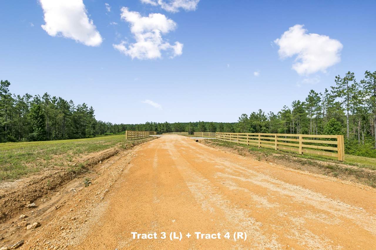 https://bt-photos.global.ssl.fastly.net/nashville/1280_boomver_1_RTC3305591-1.jpg