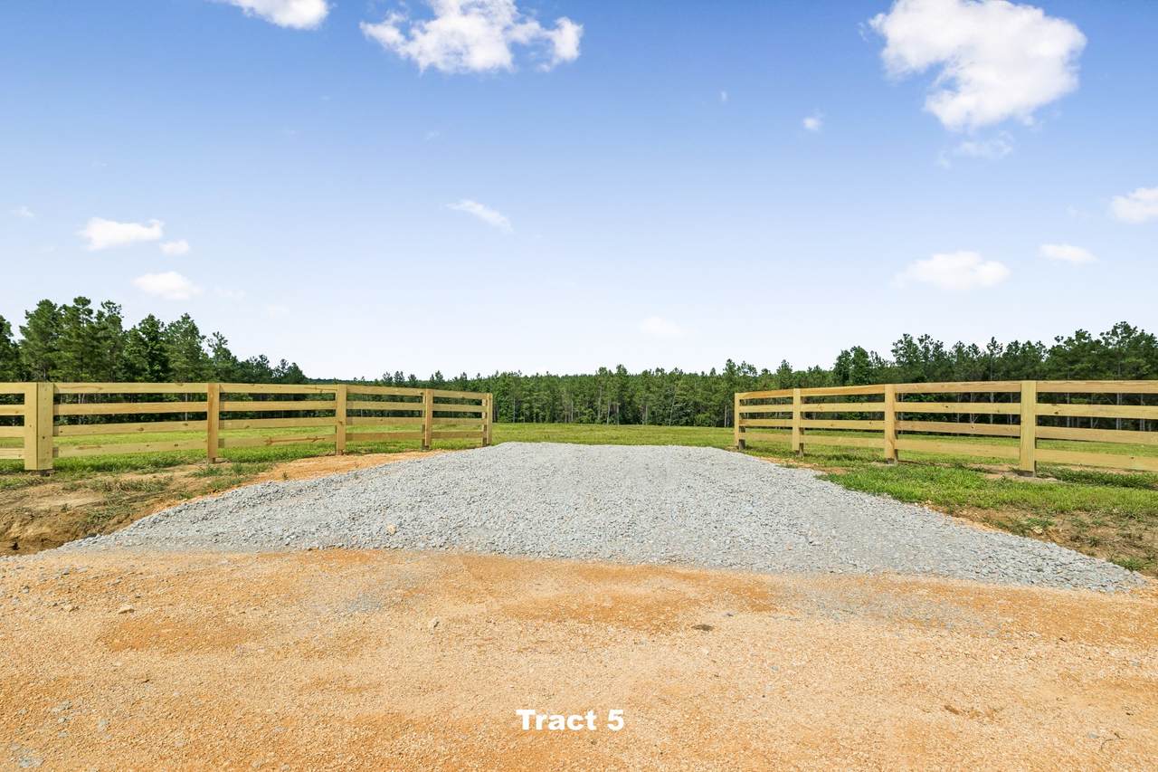 1420 Big Swan Creek Rd - Photo 1