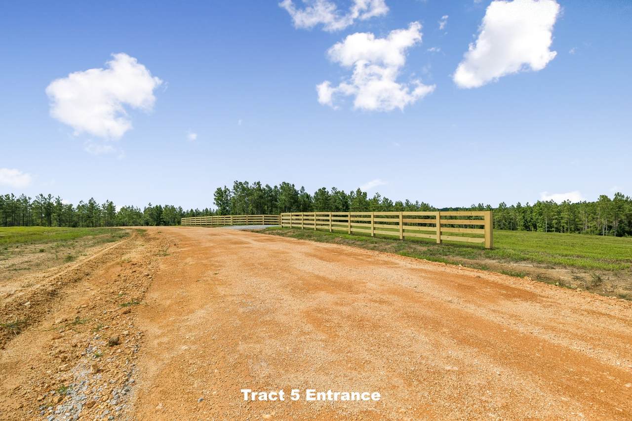 https://bt-photos.global.ssl.fastly.net/nashville/1280_boomver_1_RTC3305593-1.jpg