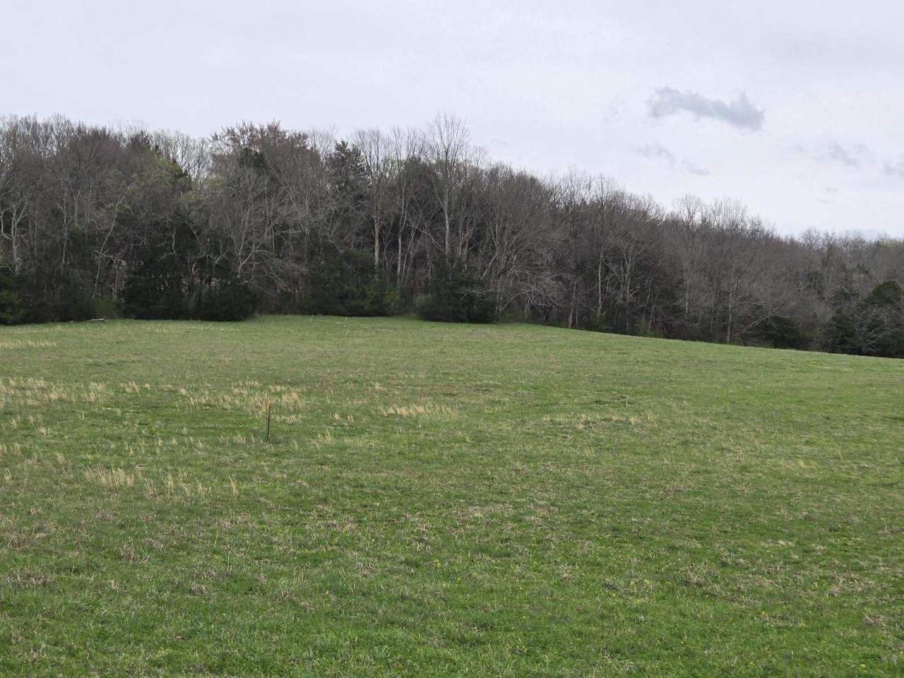 https://bt-photos.global.ssl.fastly.net/nashville/1280_boomver_1_RTC3305594-1.jpg