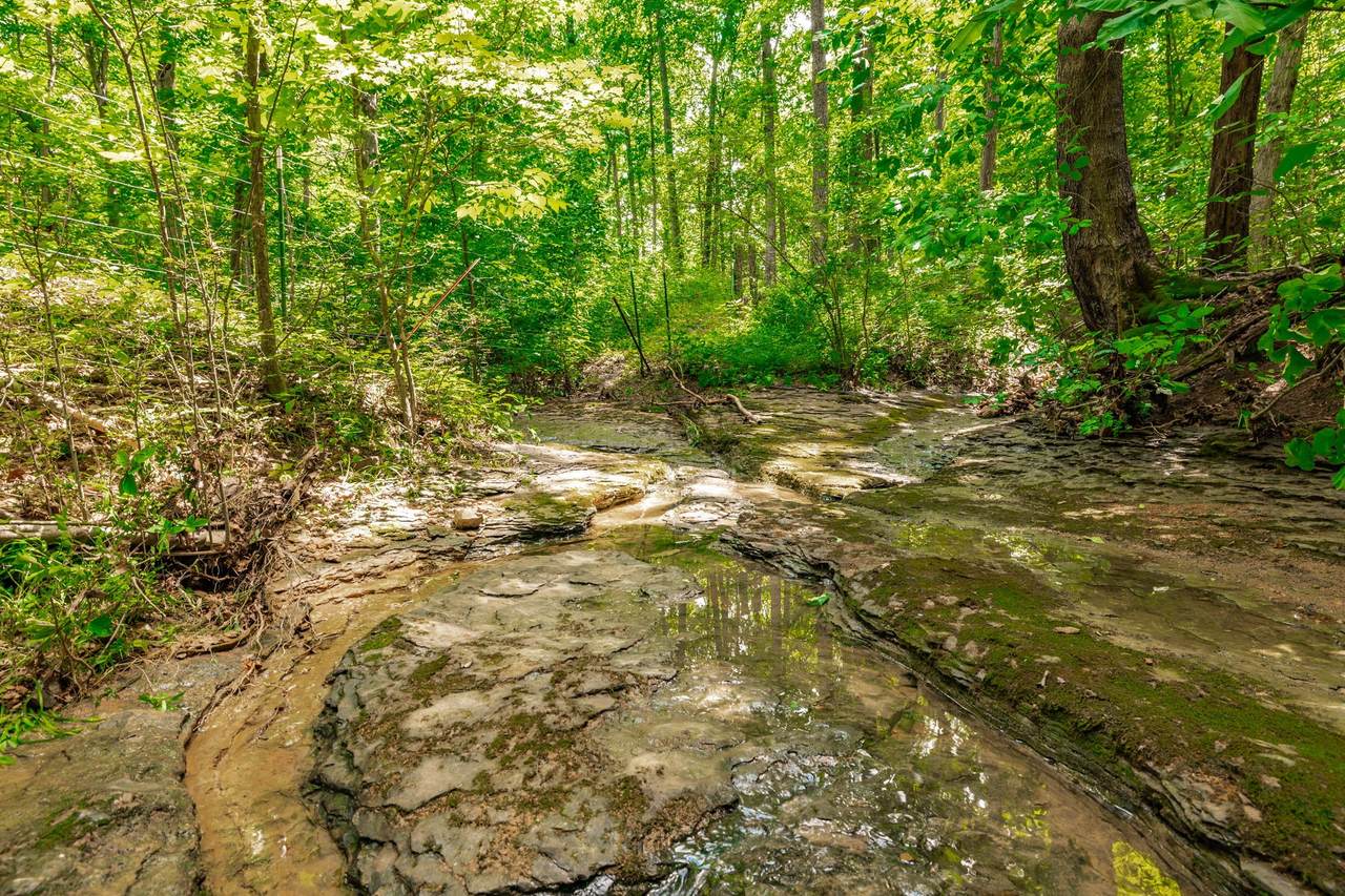 https://bt-photos.global.ssl.fastly.net/nashville/1280_boomver_1_RTC3305603-1.jpg