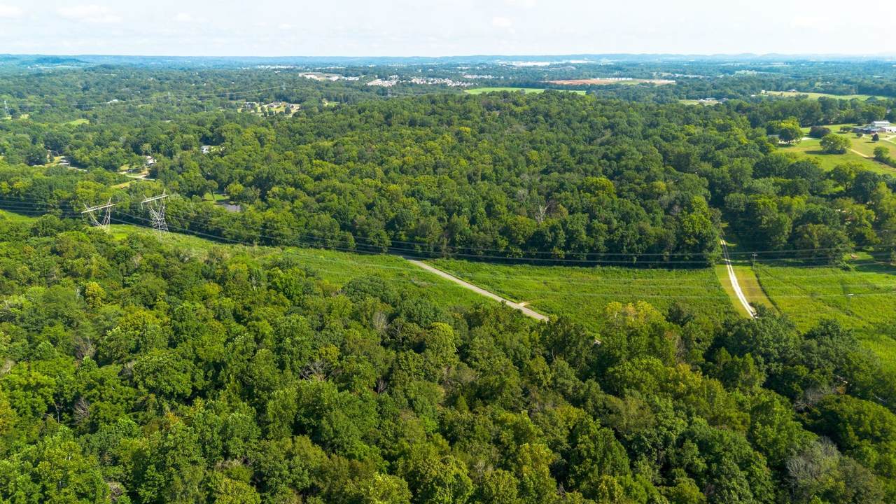 https://bt-photos.global.ssl.fastly.net/nashville/1280_boomver_1_RTC3305815-1.jpg