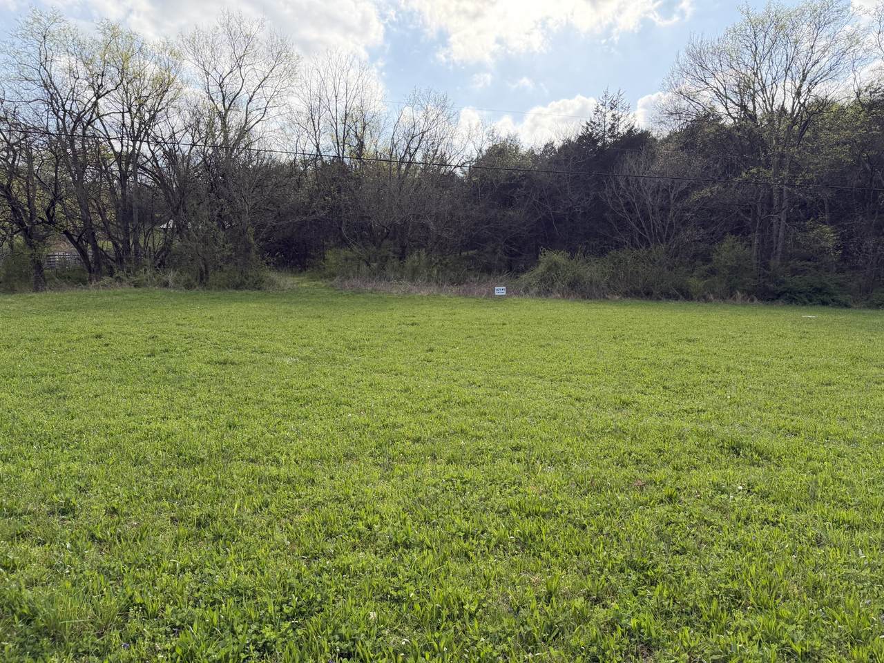 0 Opossum Paw Road - Photo 1