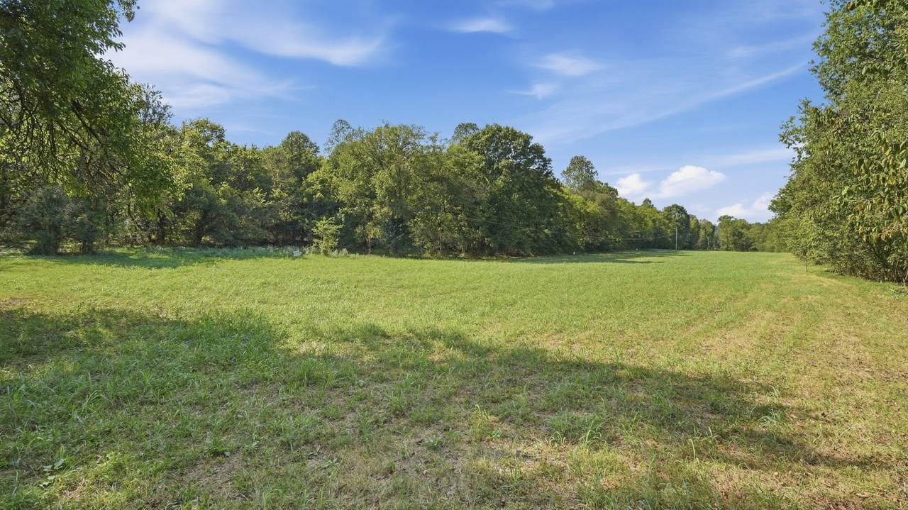 https://bt-photos.global.ssl.fastly.net/nashville/1280_boomver_2_RTC3305862-1.jpg