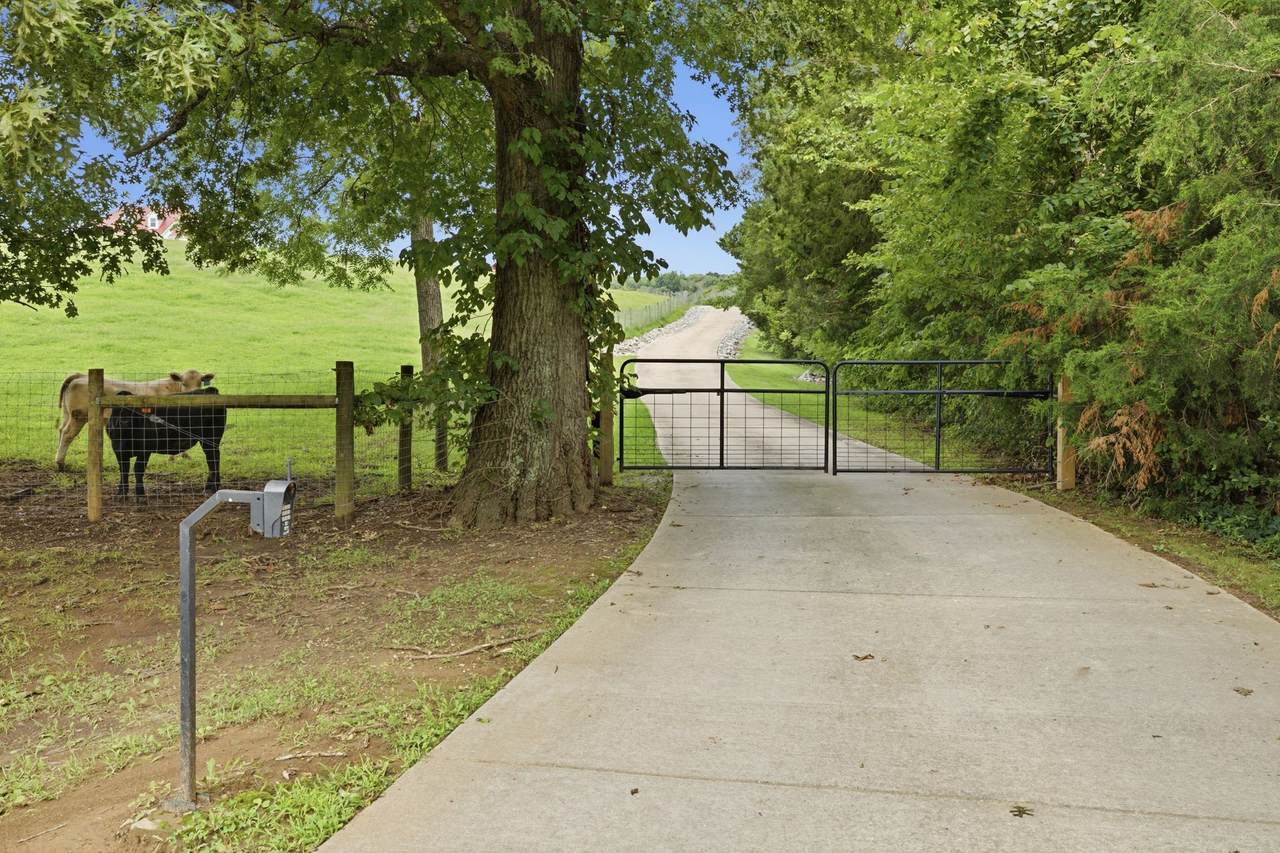 https://bt-photos.global.ssl.fastly.net/nashville/1280_boomver_1_RTC3306080-1.jpg