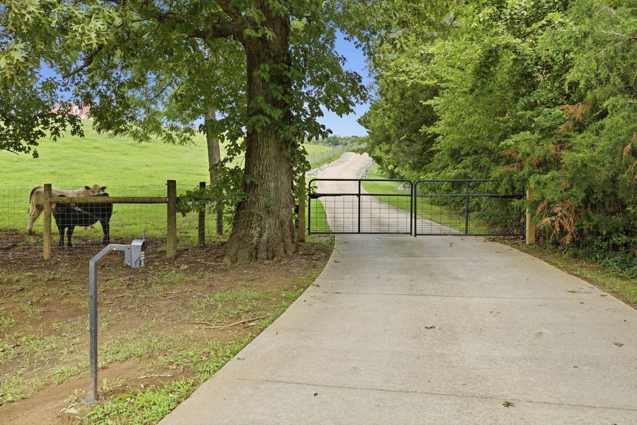 https://bt-photos.global.ssl.fastly.net/nashville/1280_boomver_1_RTC3306128-1.jpg