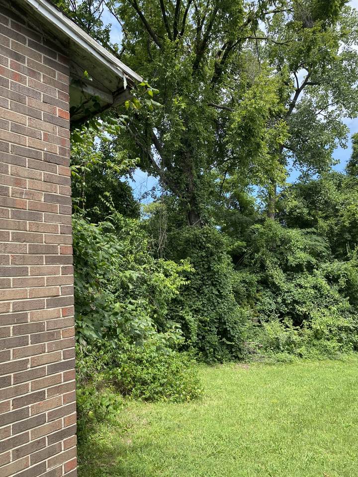 https://bt-photos.global.ssl.fastly.net/nashville/1280_boomver_1_RTC3306345-1.jpg