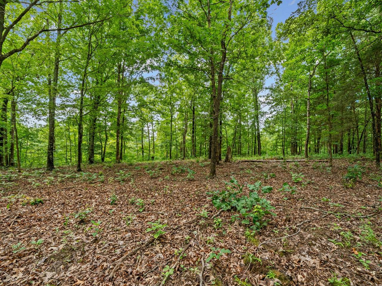 https://bt-photos.global.ssl.fastly.net/nashville/1280_boomver_1_RTC3306561-1.jpg