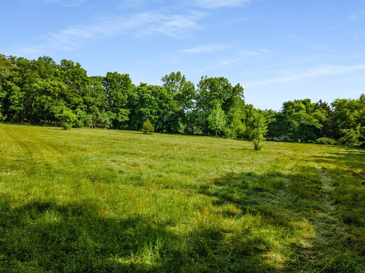 5011 Archer Springs Lane - Photo 1