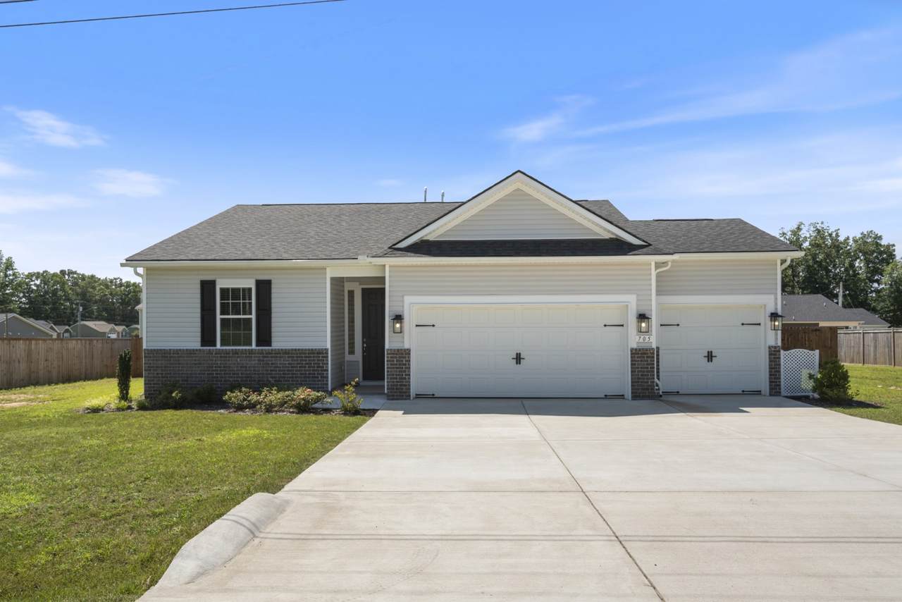 705 Chestnut Bnd - Photo 1