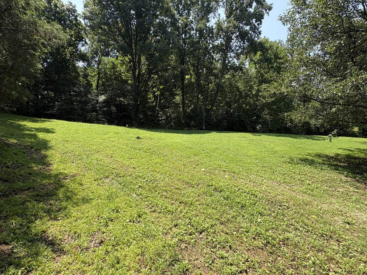 1991 Simmons Ridge Rd - Photo 1