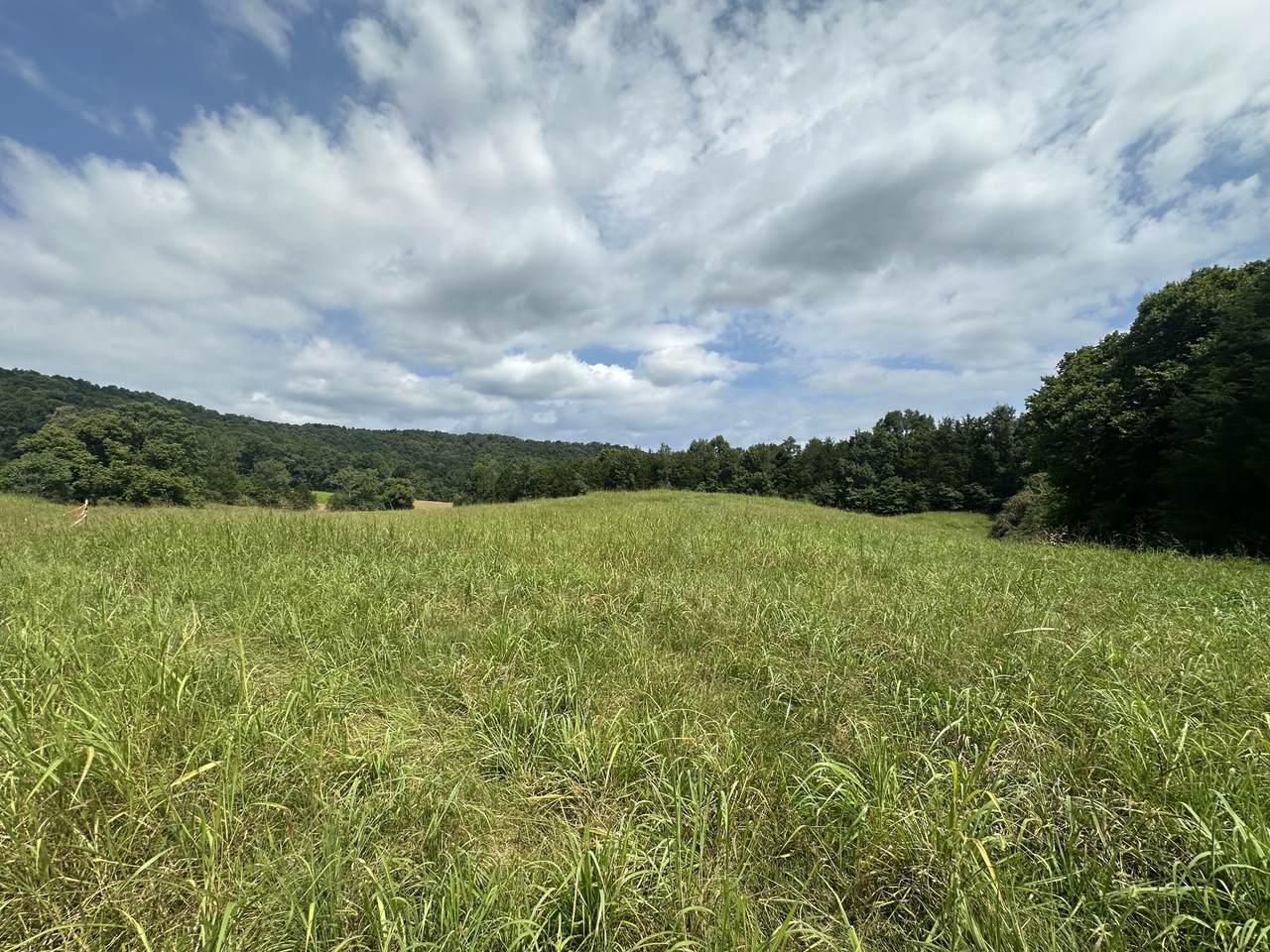 0 Plum Creek Rd - Photo 1