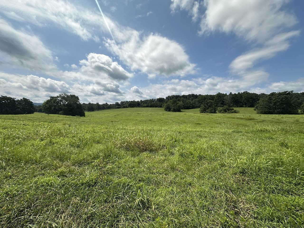 https://bt-photos.global.ssl.fastly.net/nashville/1280_boomver_1_RTC3309086-1.jpg
