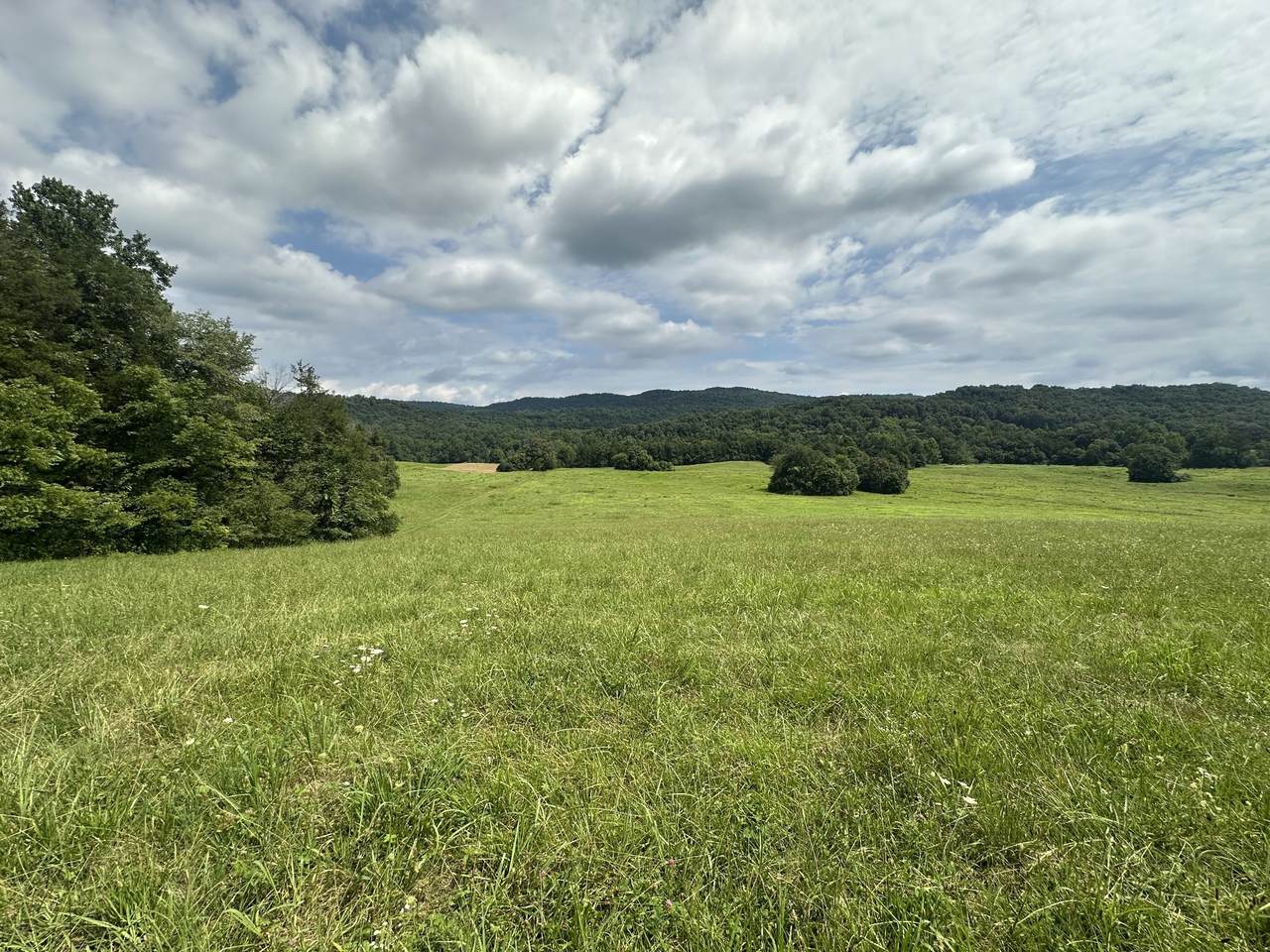 https://bt-photos.global.ssl.fastly.net/nashville/1280_boomver_1_RTC3309086-1.jpg
