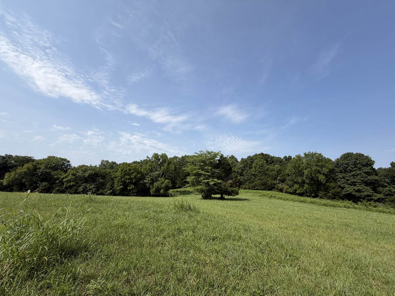 0 Flat Creek Rd - Photo 1