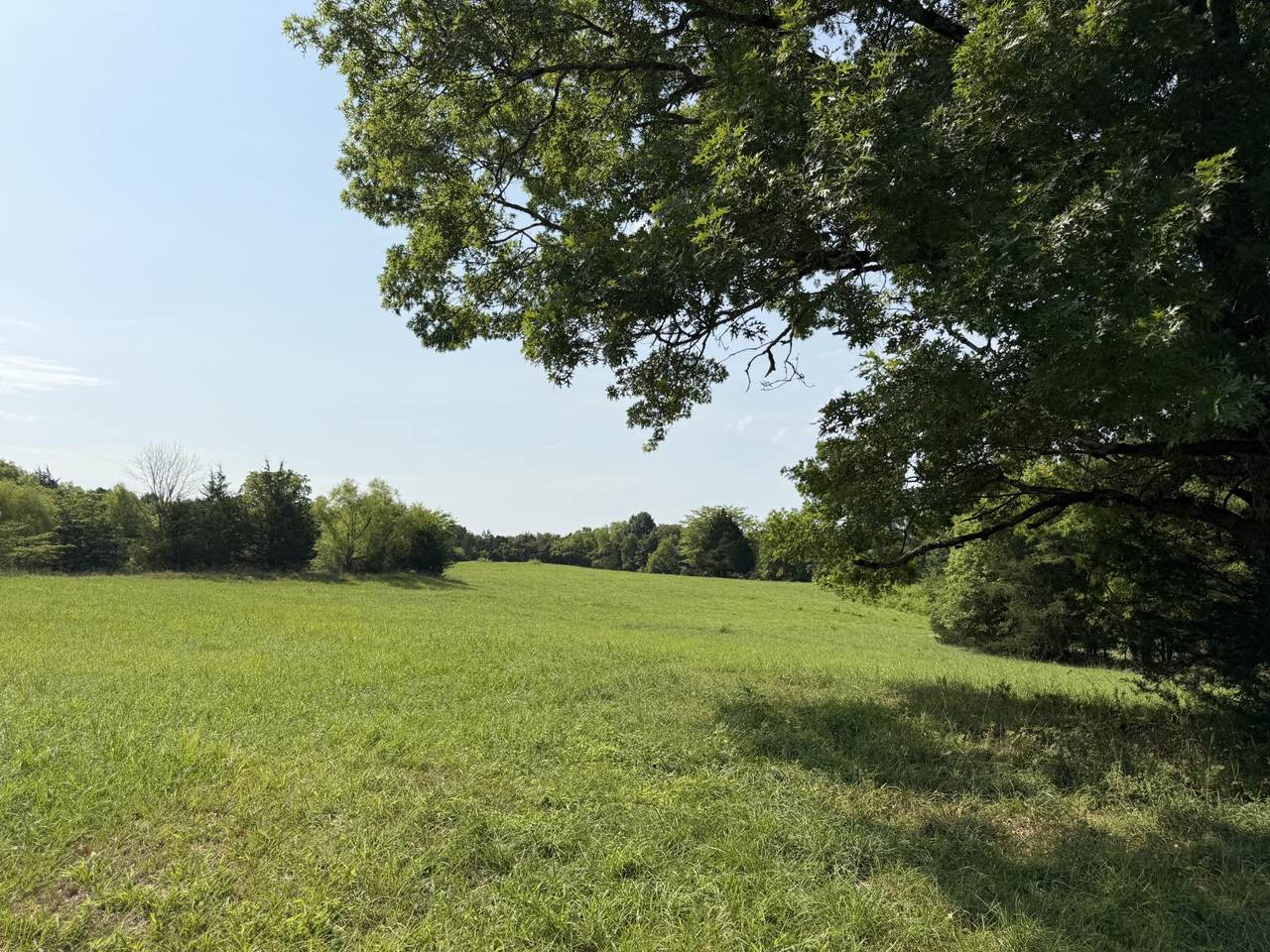 https://bt-photos.global.ssl.fastly.net/nashville/1280_boomver_1_RTC3311428-1.jpg