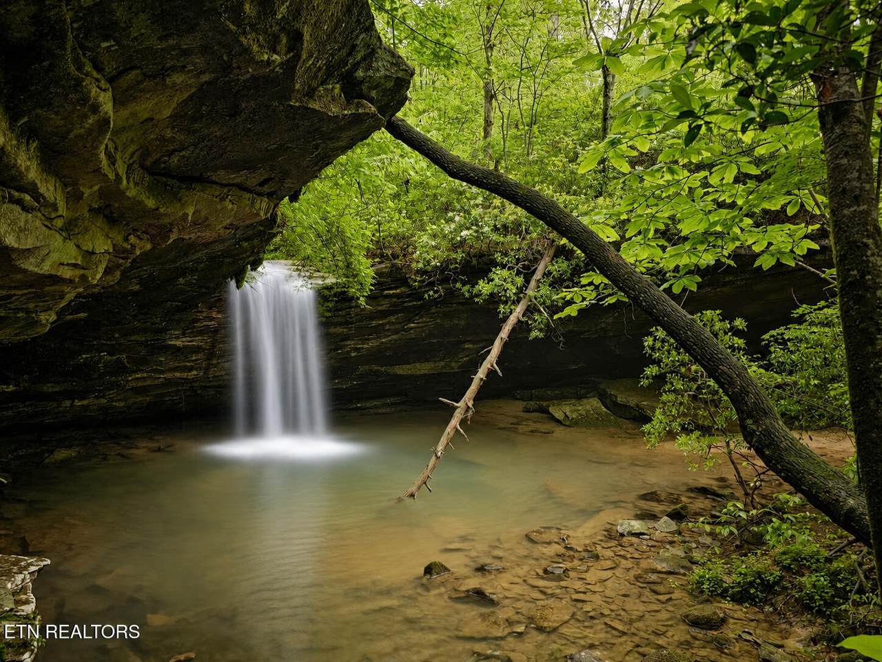 https://bt-photos.global.ssl.fastly.net/nashville/1280_boomver_1_RTC3311837-1.jpg
