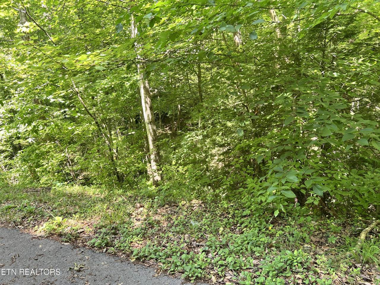0 Fir Drive - Photo 1