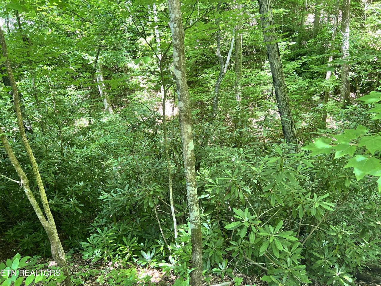 https://bt-photos.global.ssl.fastly.net/nashville/1280_boomver_1_RTC3311877-1.jpg