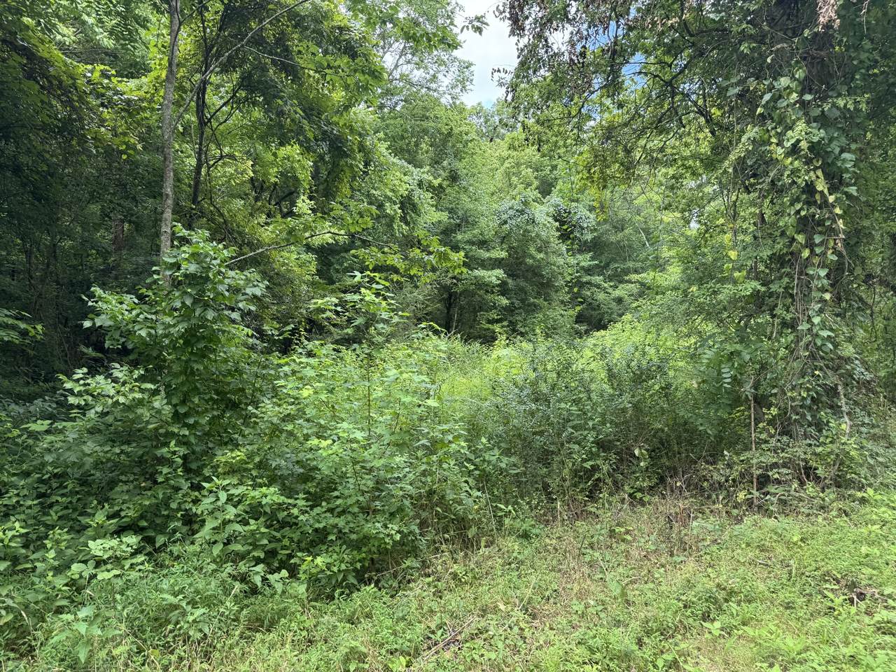 https://bt-photos.global.ssl.fastly.net/nashville/1280_boomver_1_RTC3312094-1.jpg