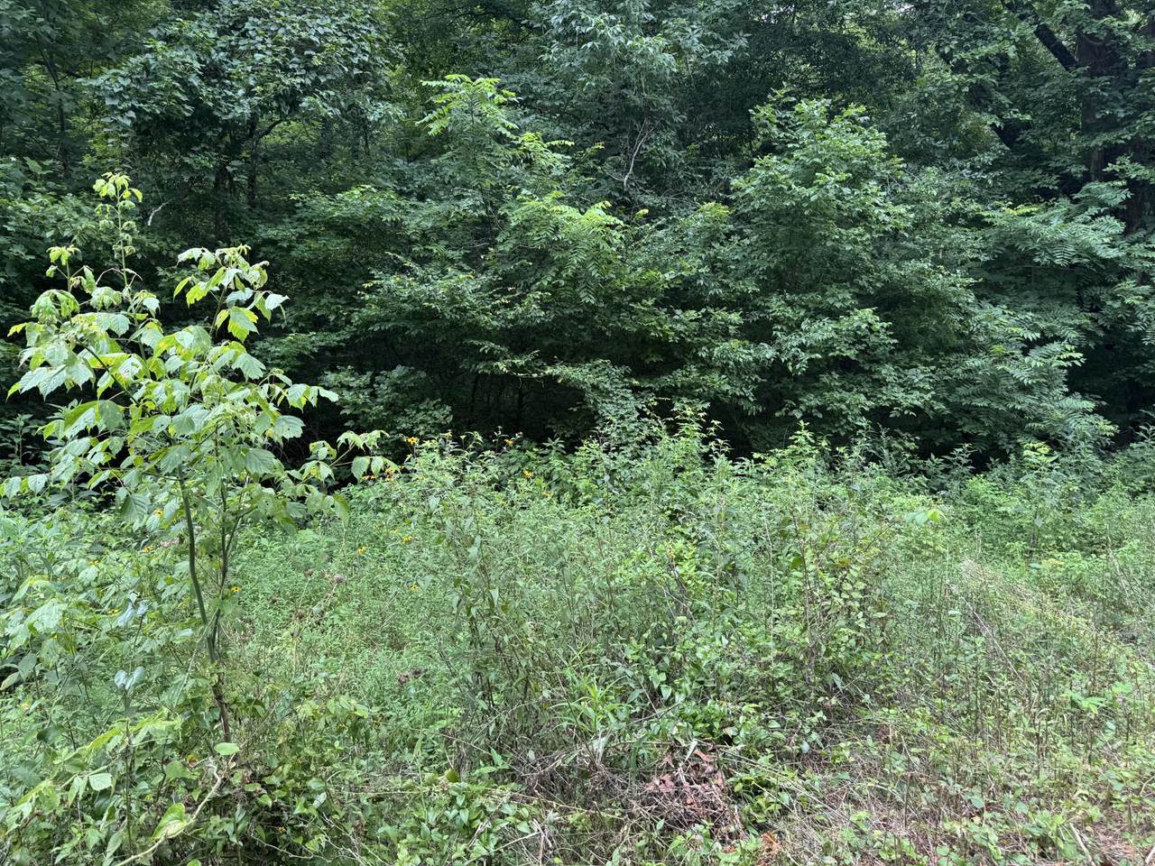 https://bt-photos.global.ssl.fastly.net/nashville/1280_boomver_1_RTC3312094-1.jpg