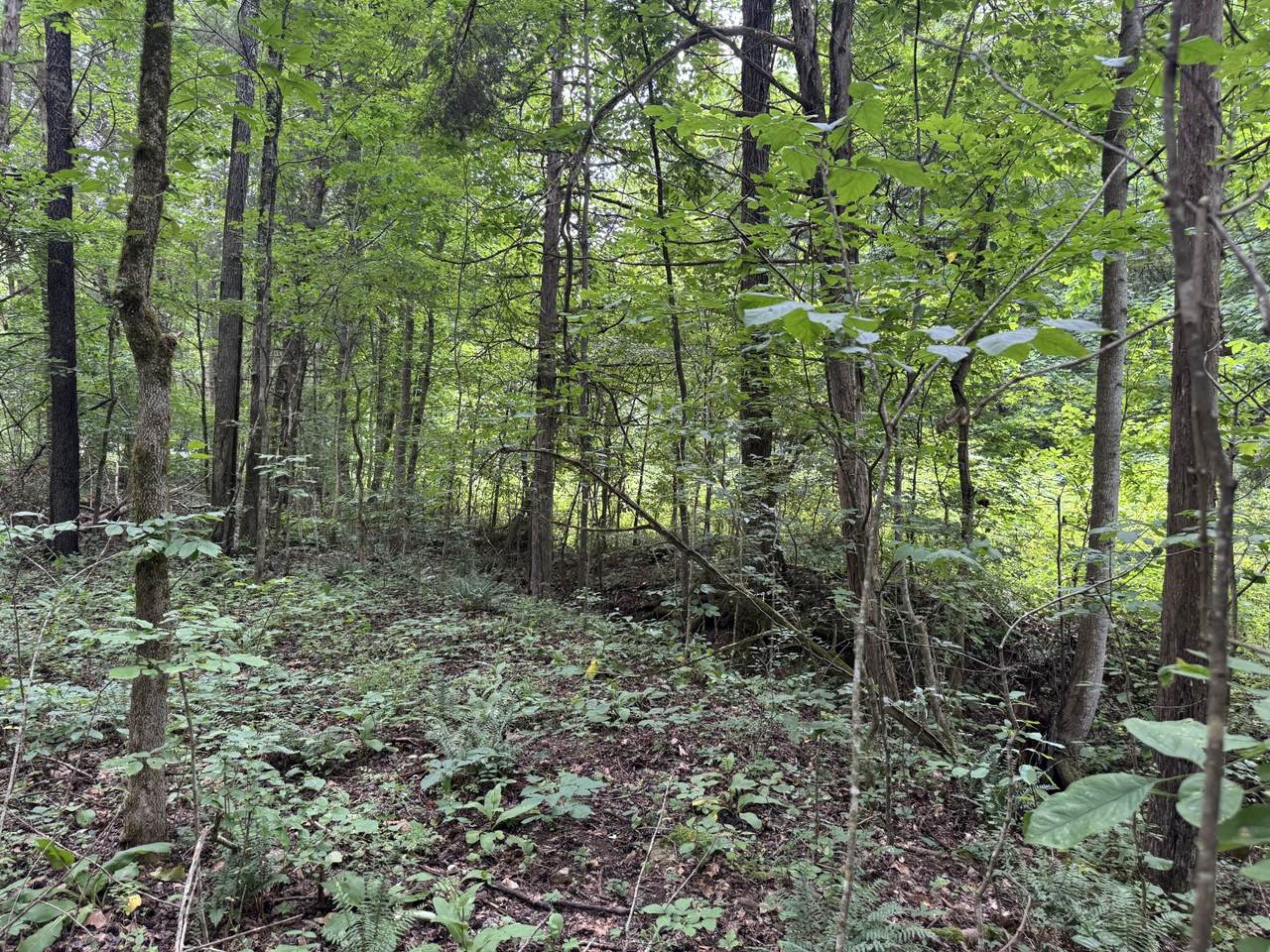 https://bt-photos.global.ssl.fastly.net/nashville/1280_boomver_1_RTC3312105-1.jpg