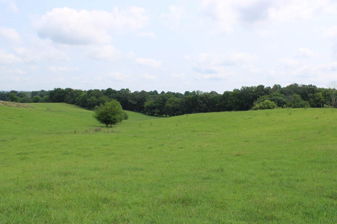 https://bt-photos.global.ssl.fastly.net/nashville/1280_boomver_1_RTC3312265-1.jpg