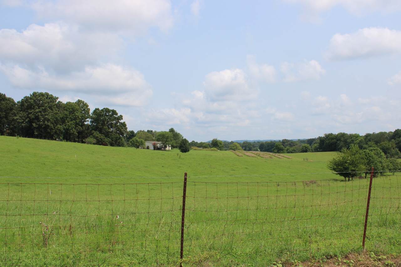 https://bt-photos.global.ssl.fastly.net/nashville/1280_boomver_1_RTC3312265-1.jpg