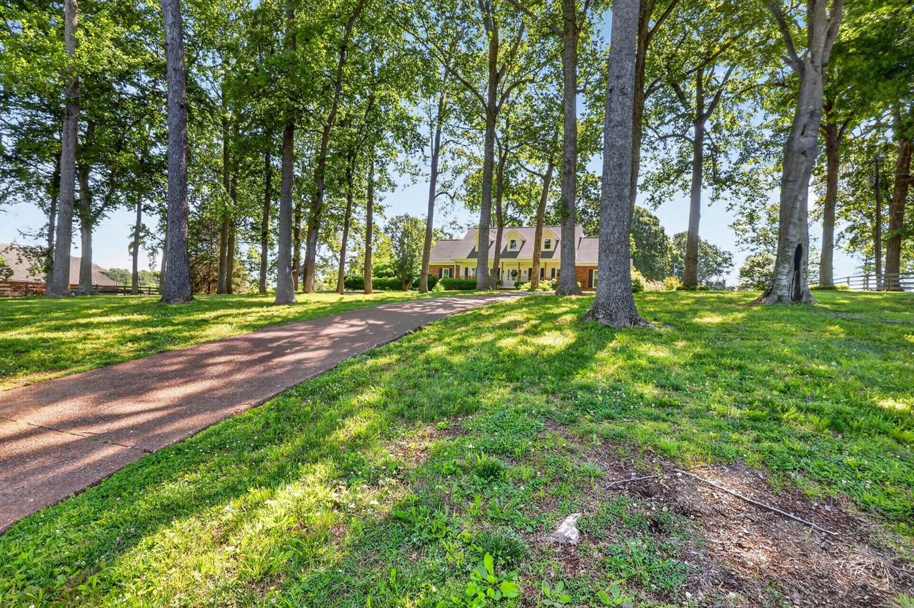 https://bt-photos.global.ssl.fastly.net/nashville/1280_boomver_1_RTC3312411-1.jpg