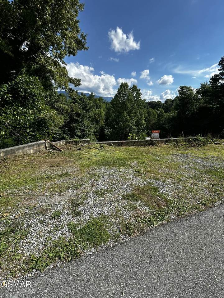 545 Johnson Lane - Photo 1